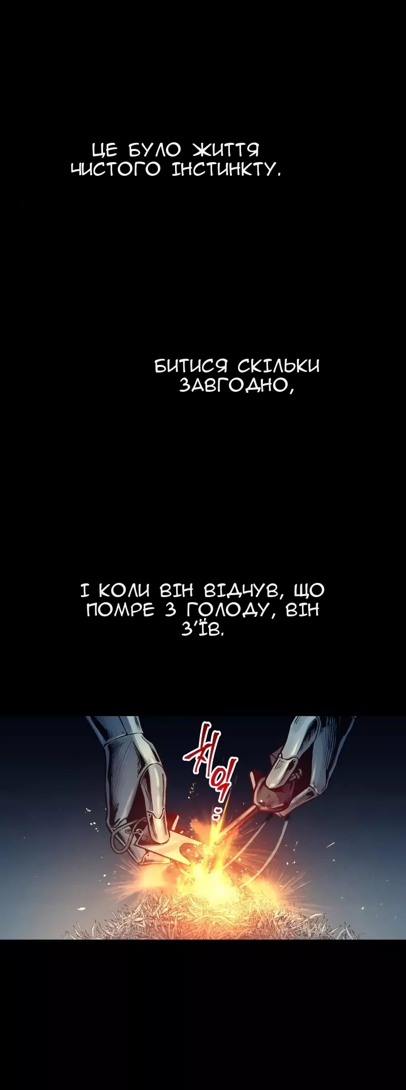 Сторінка 11