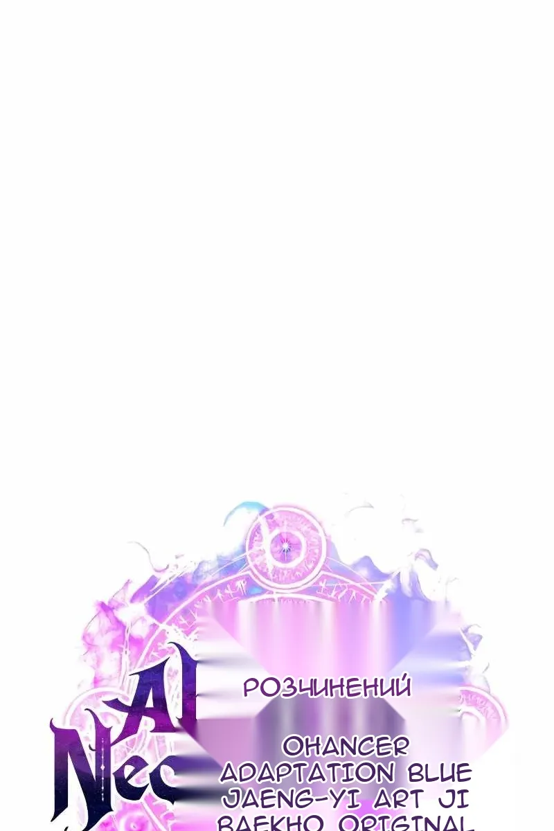 Сторінка 17