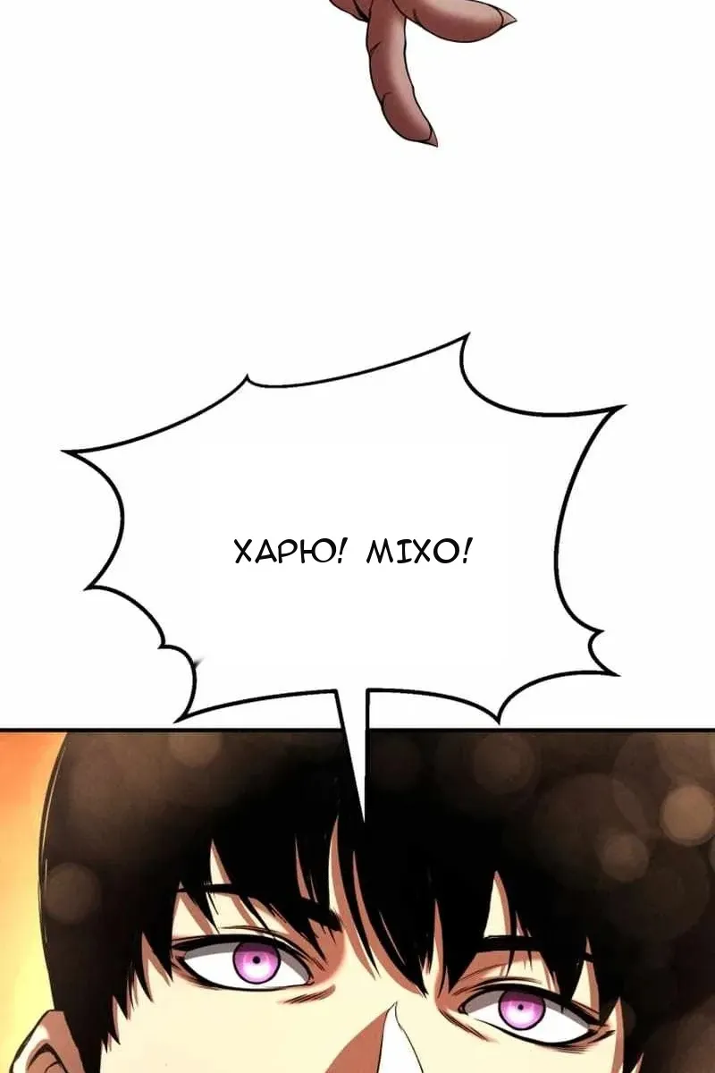 Сторінка 41