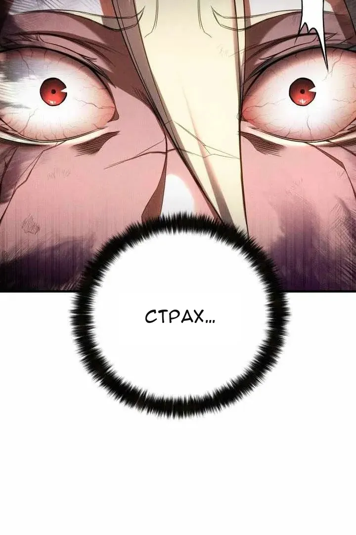 Сторінка 43