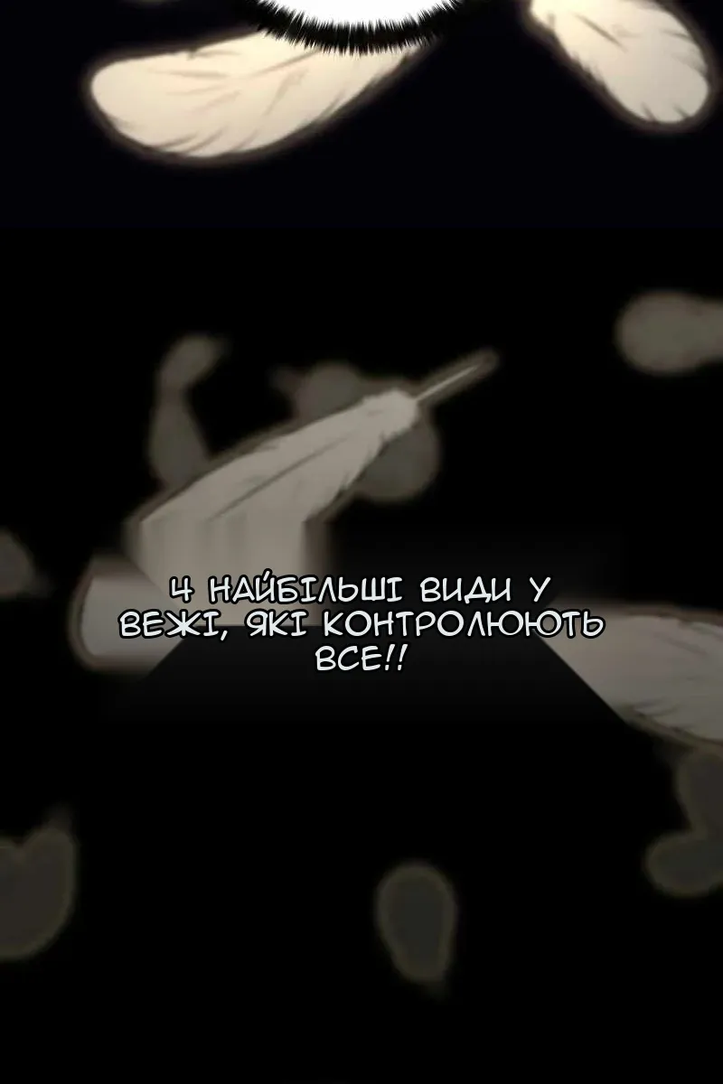 Сторінка 41