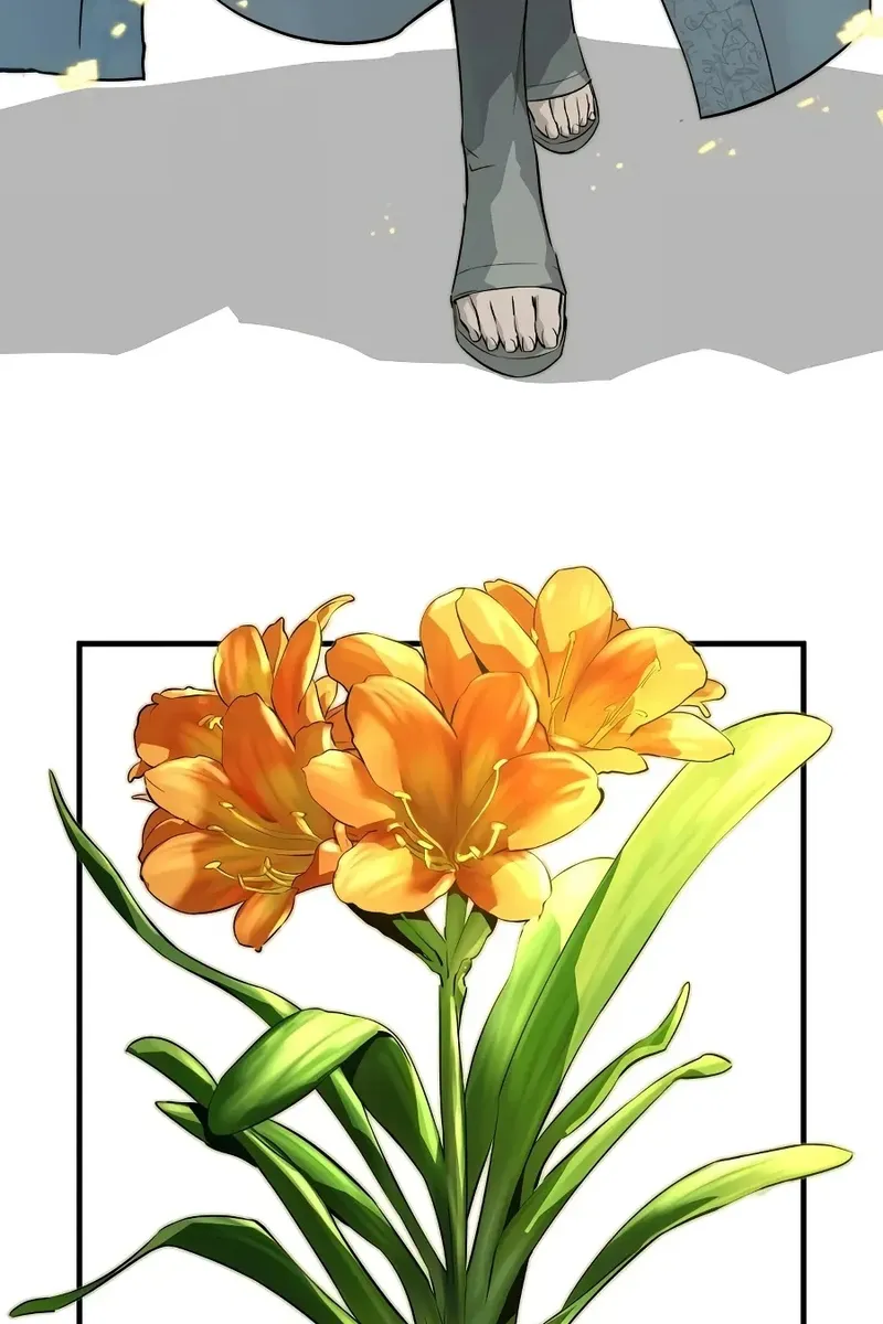 Сторінка 6