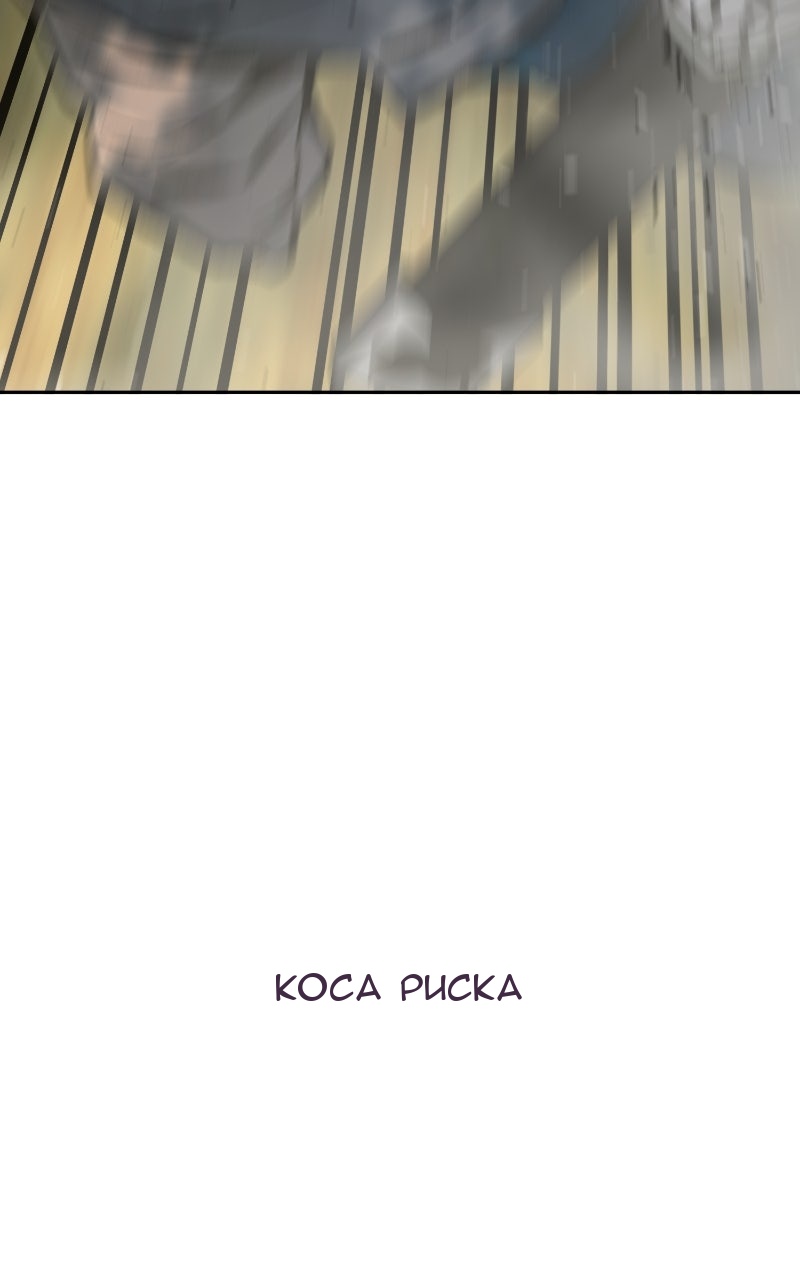 Сторінка 29