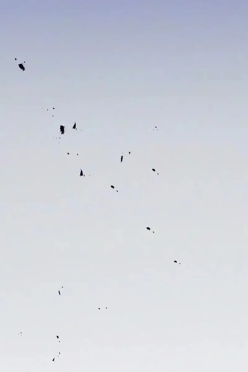 Сторінка 117
