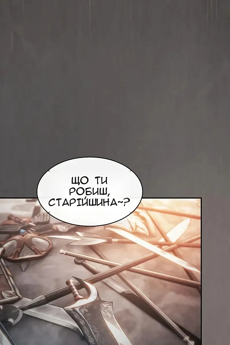Сторінка 17