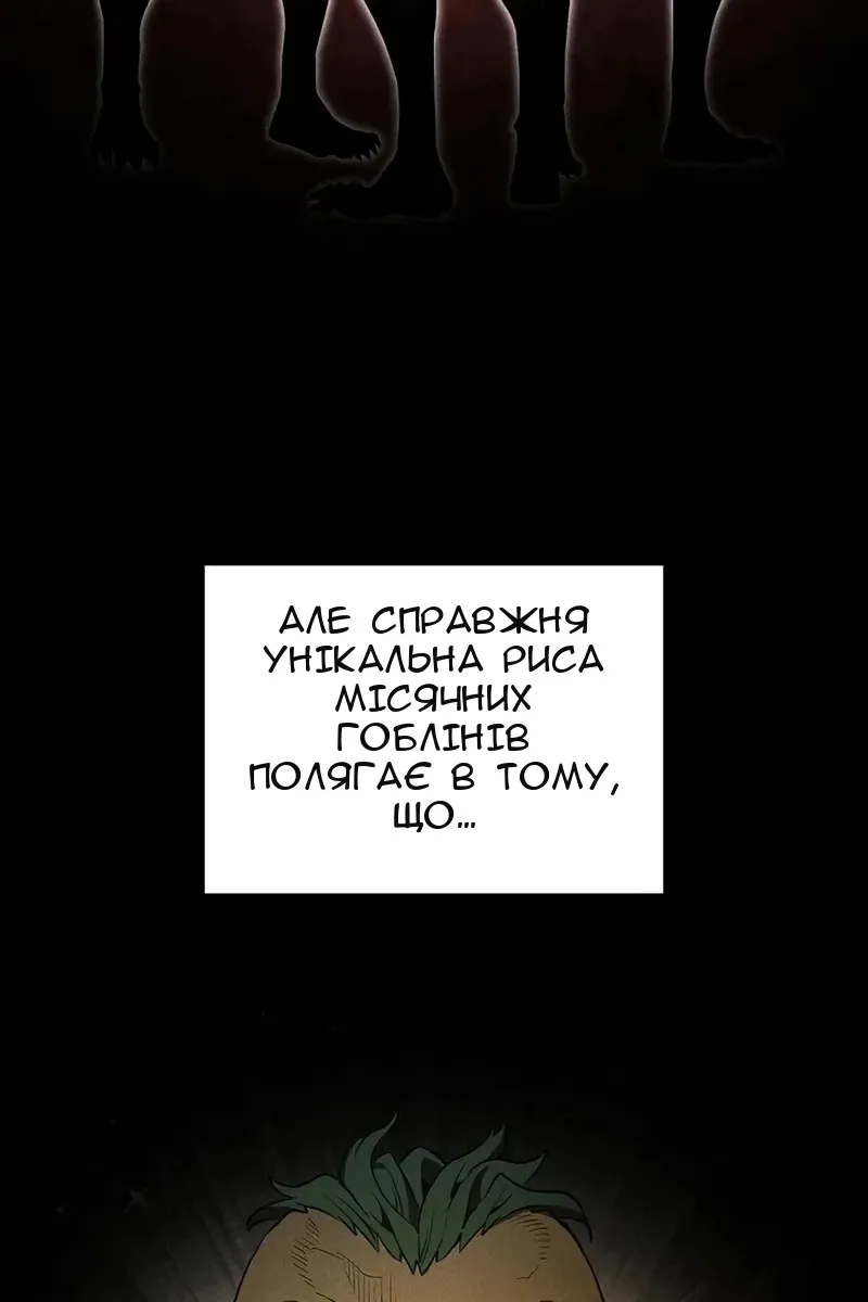Сторінка 5