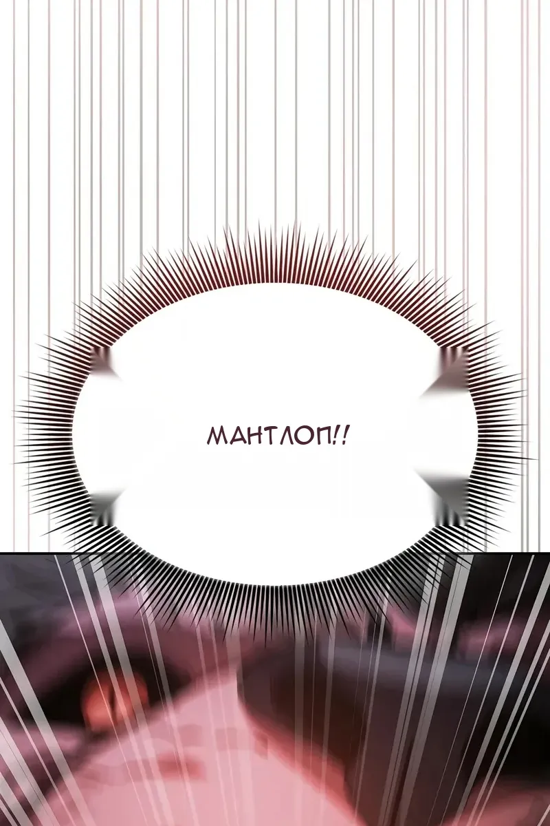 Сторінка 8