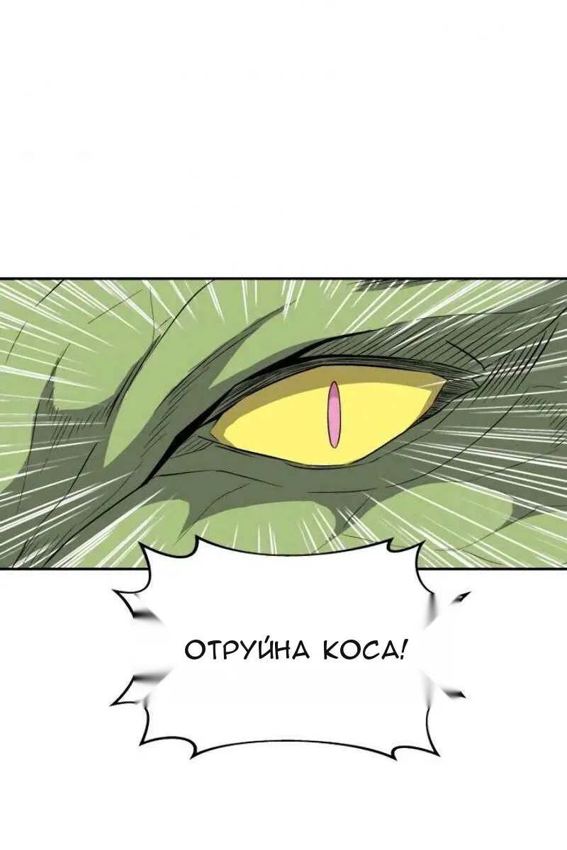 Сторінка 3