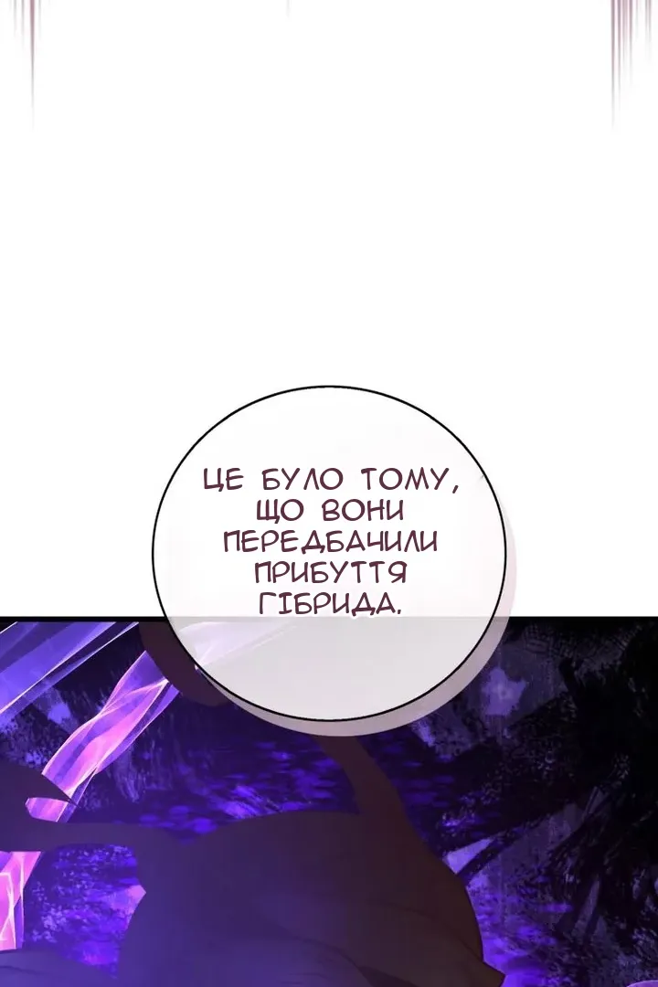 Сторінка 102