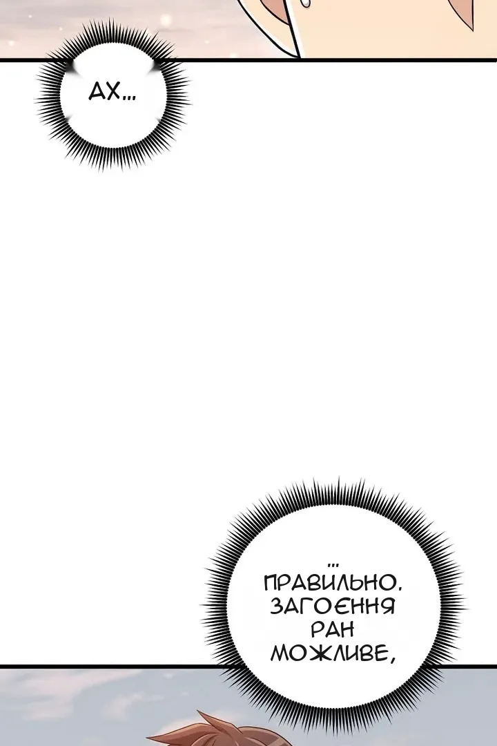 Сторінка 17