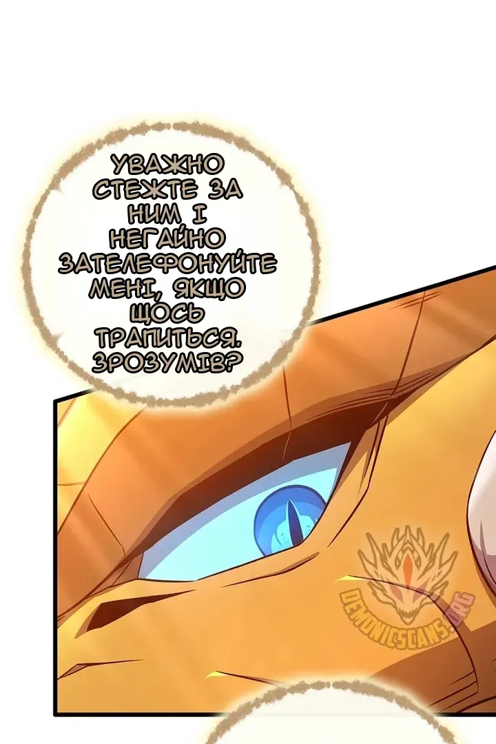 Сторінка 17