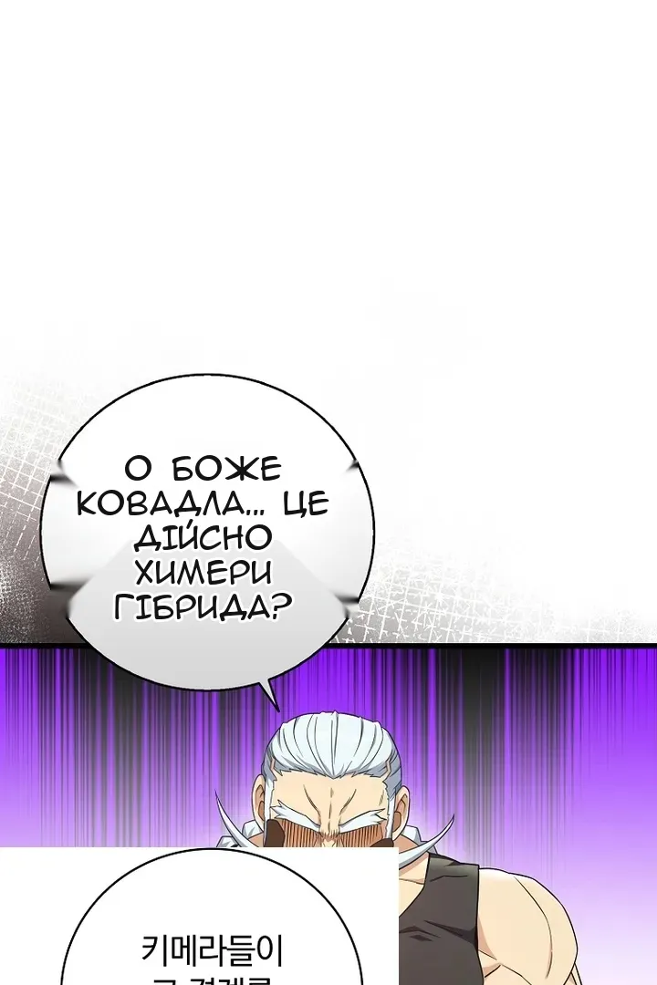 Сторінка 41