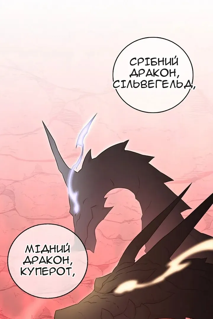Сторінка 79