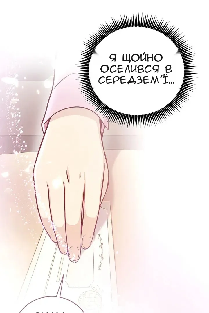 Сторінка 31