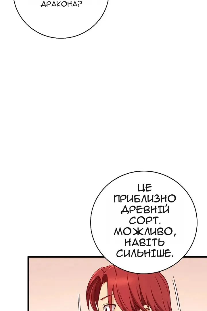 Сторінка 49