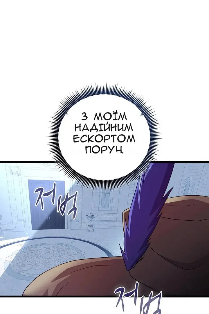 Сторінка 17