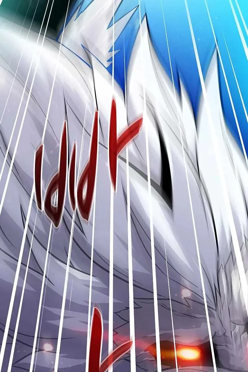 Сторінка 29
