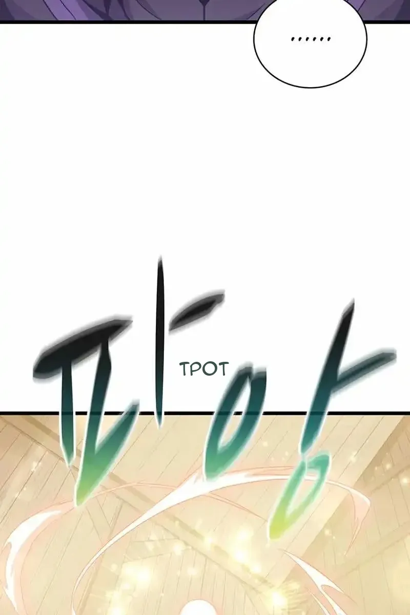 Сторінка 17