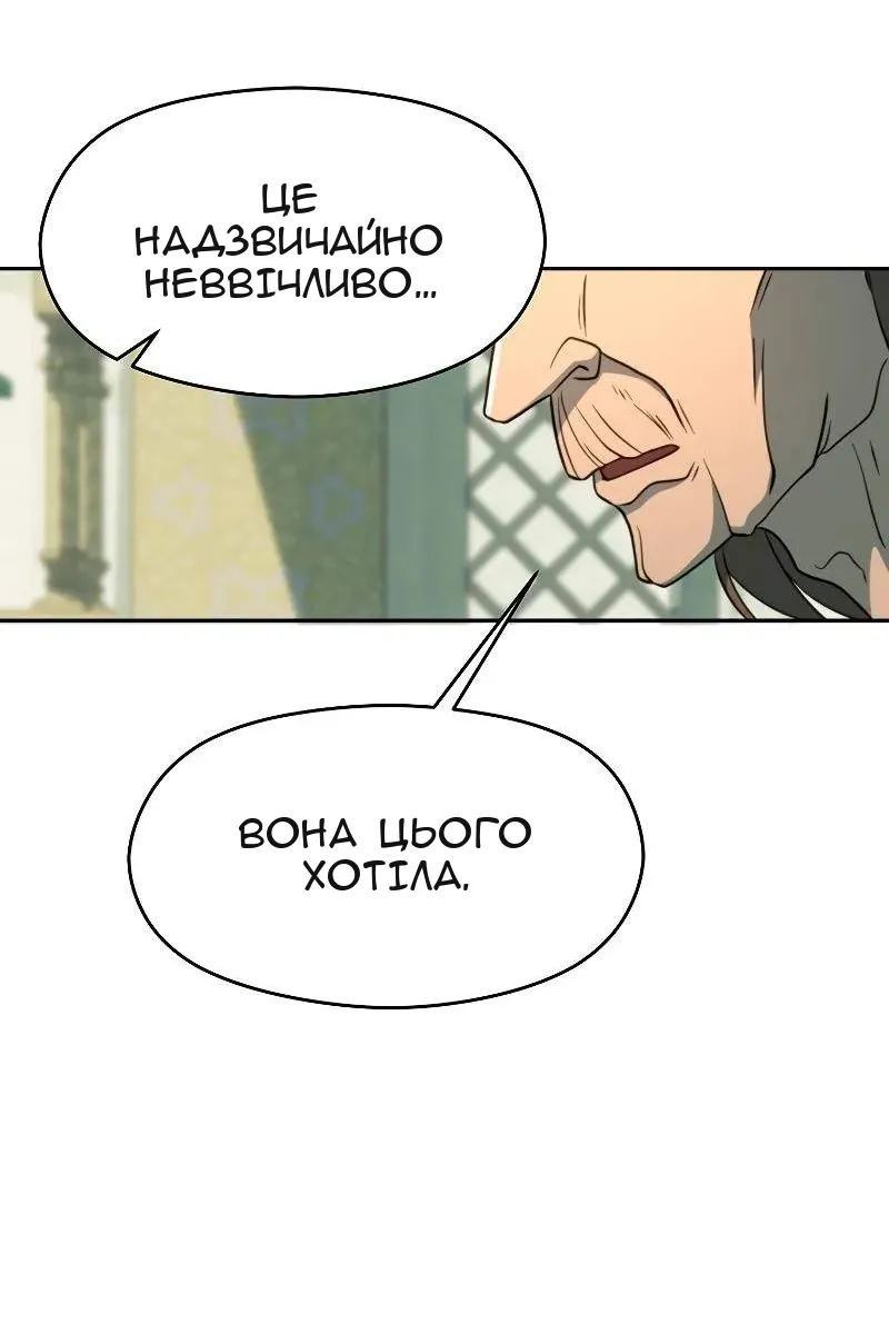 Сторінка 17