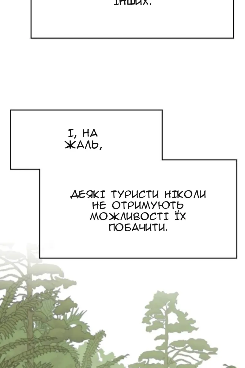Сторінка 51