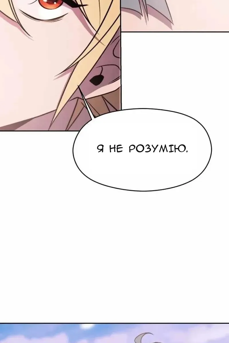 Сторінка 111