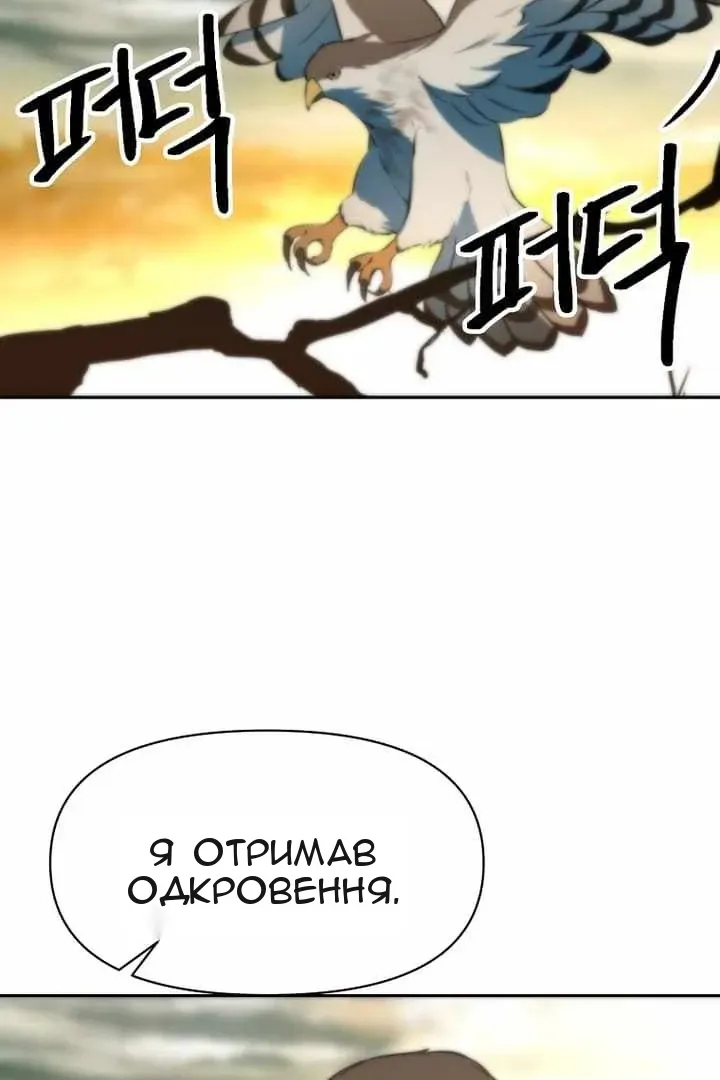 Сторінка 13