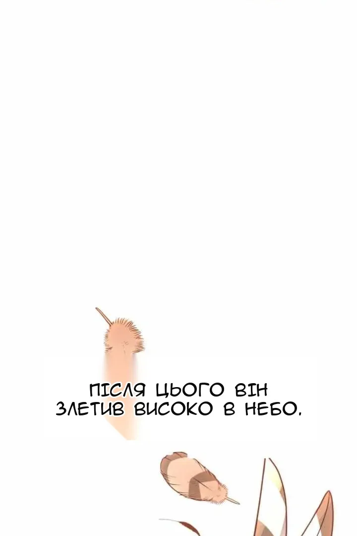 Сторінка 31