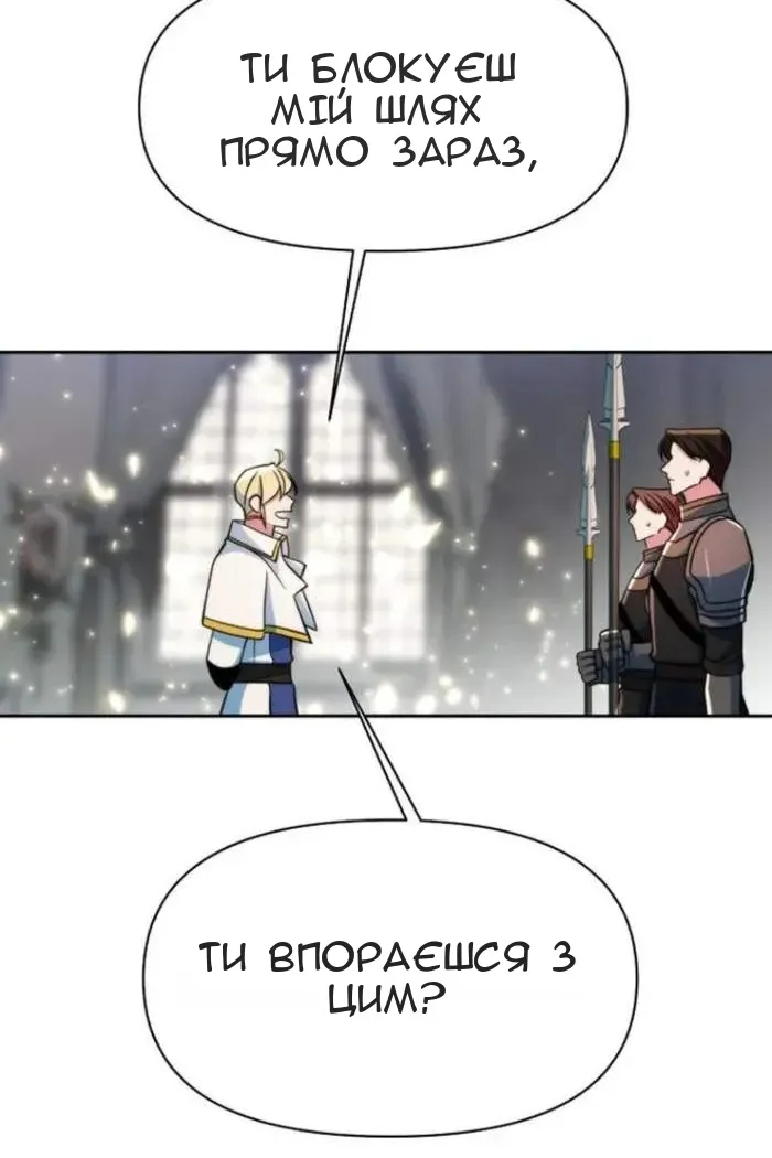 Сторінка 17