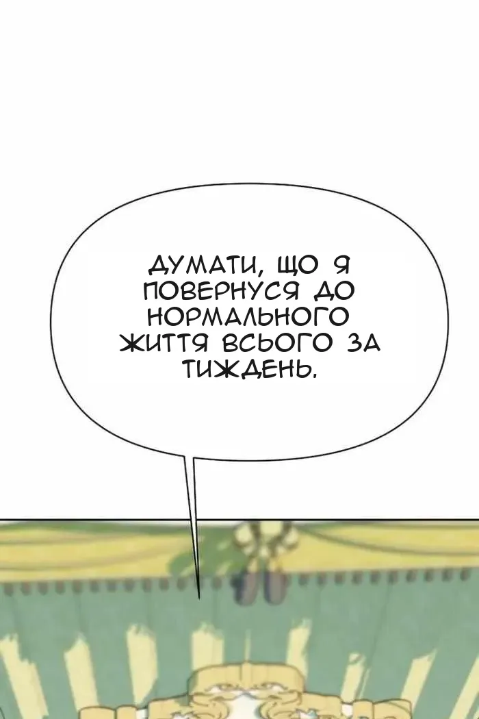 Сторінка 17