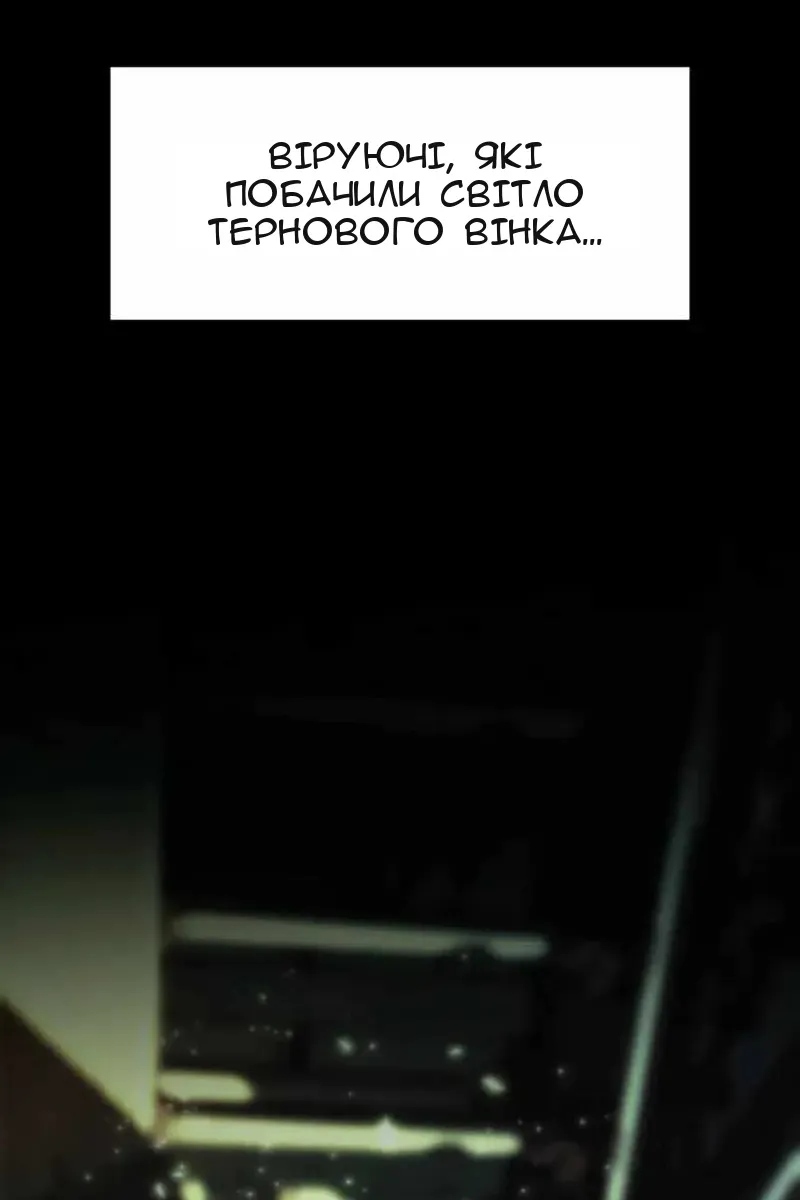 Сторінка 29