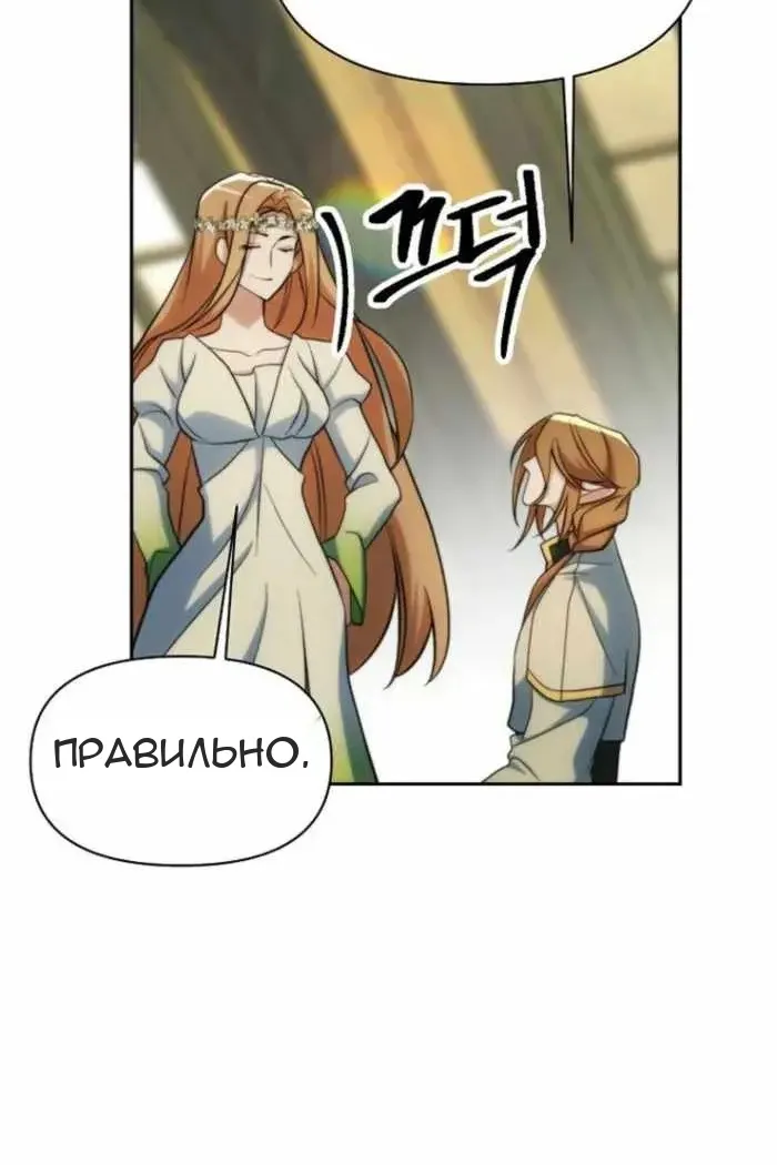 Сторінка 29