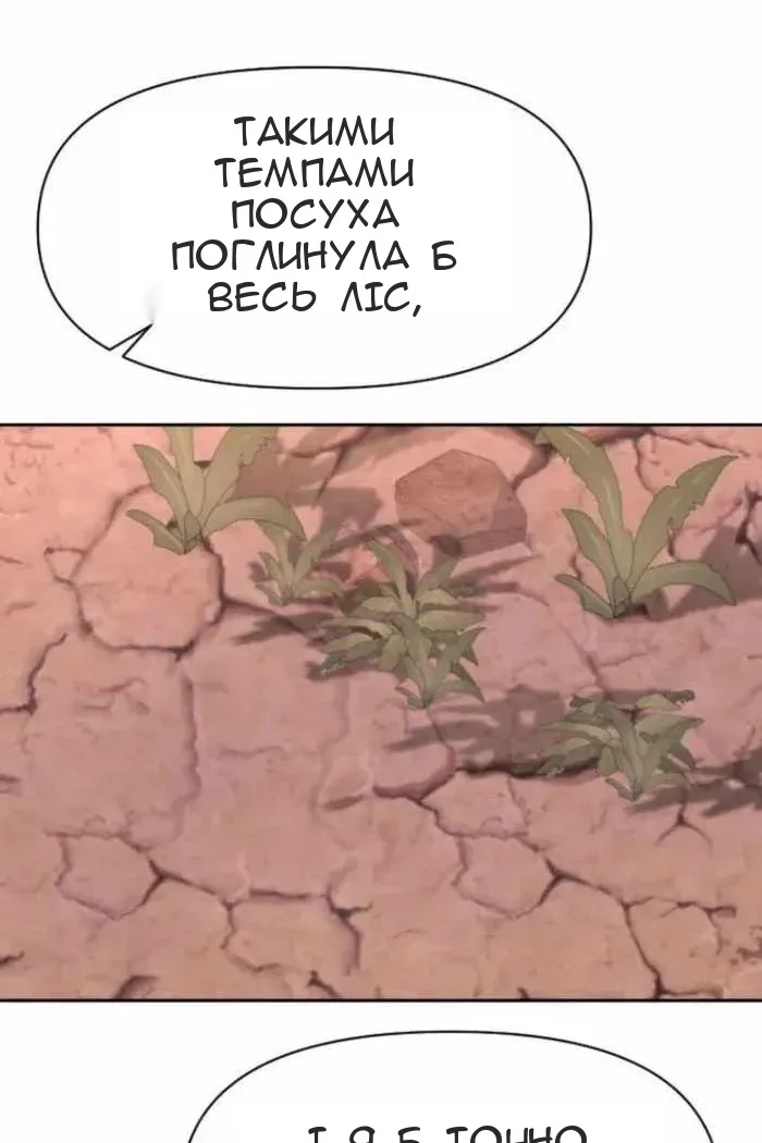 Сторінка 6