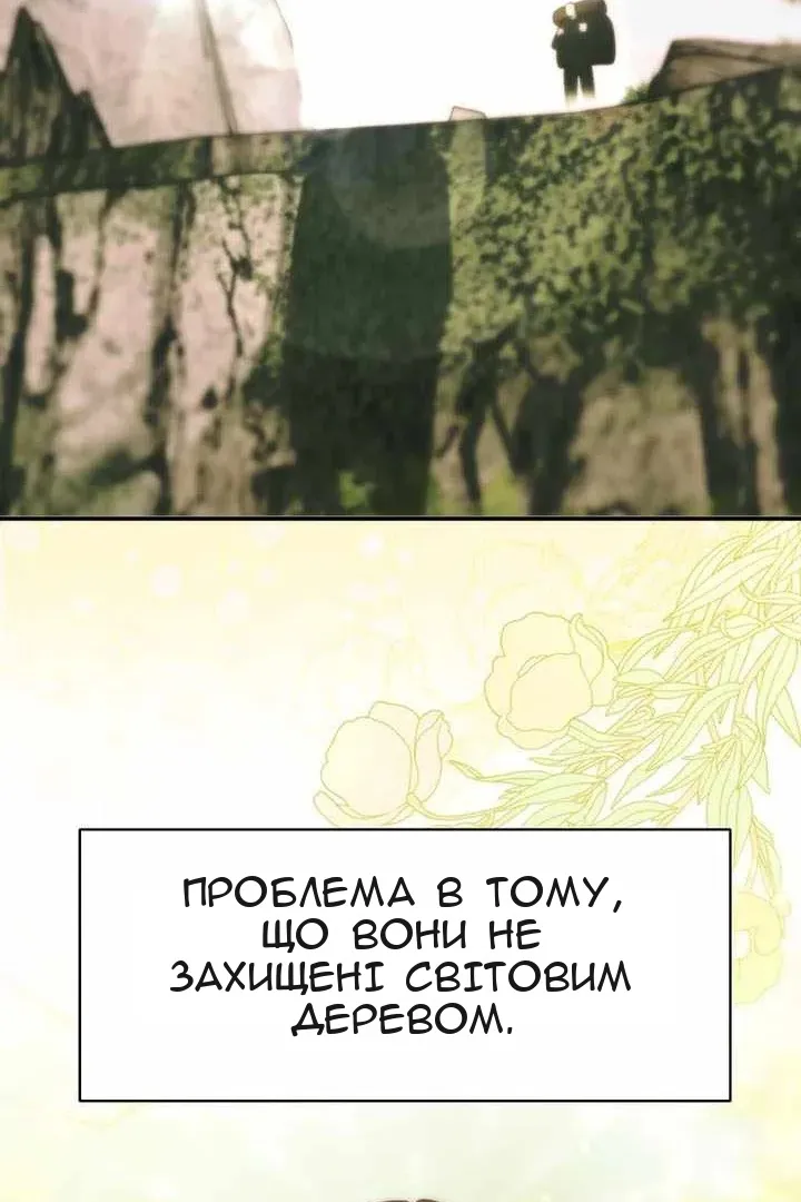 Сторінка 28