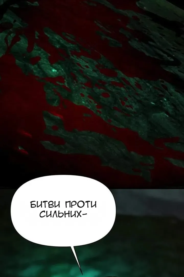 Сторінка 5
