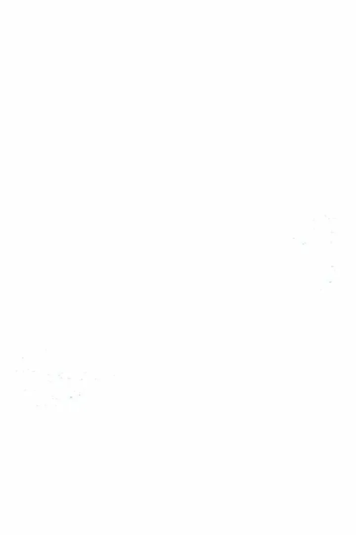 Сторінка 19