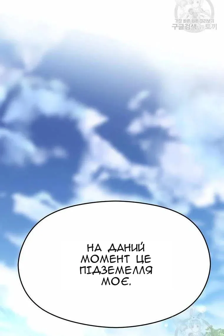 Сторінка 17