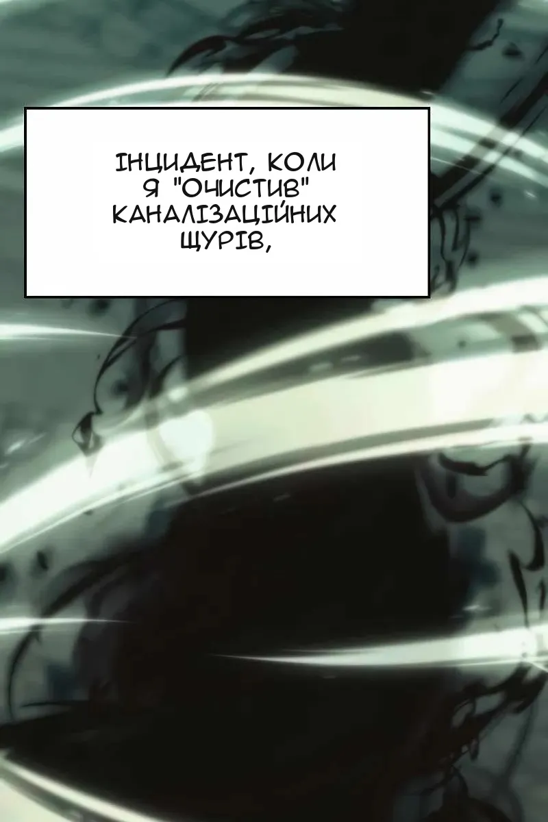 Сторінка 17