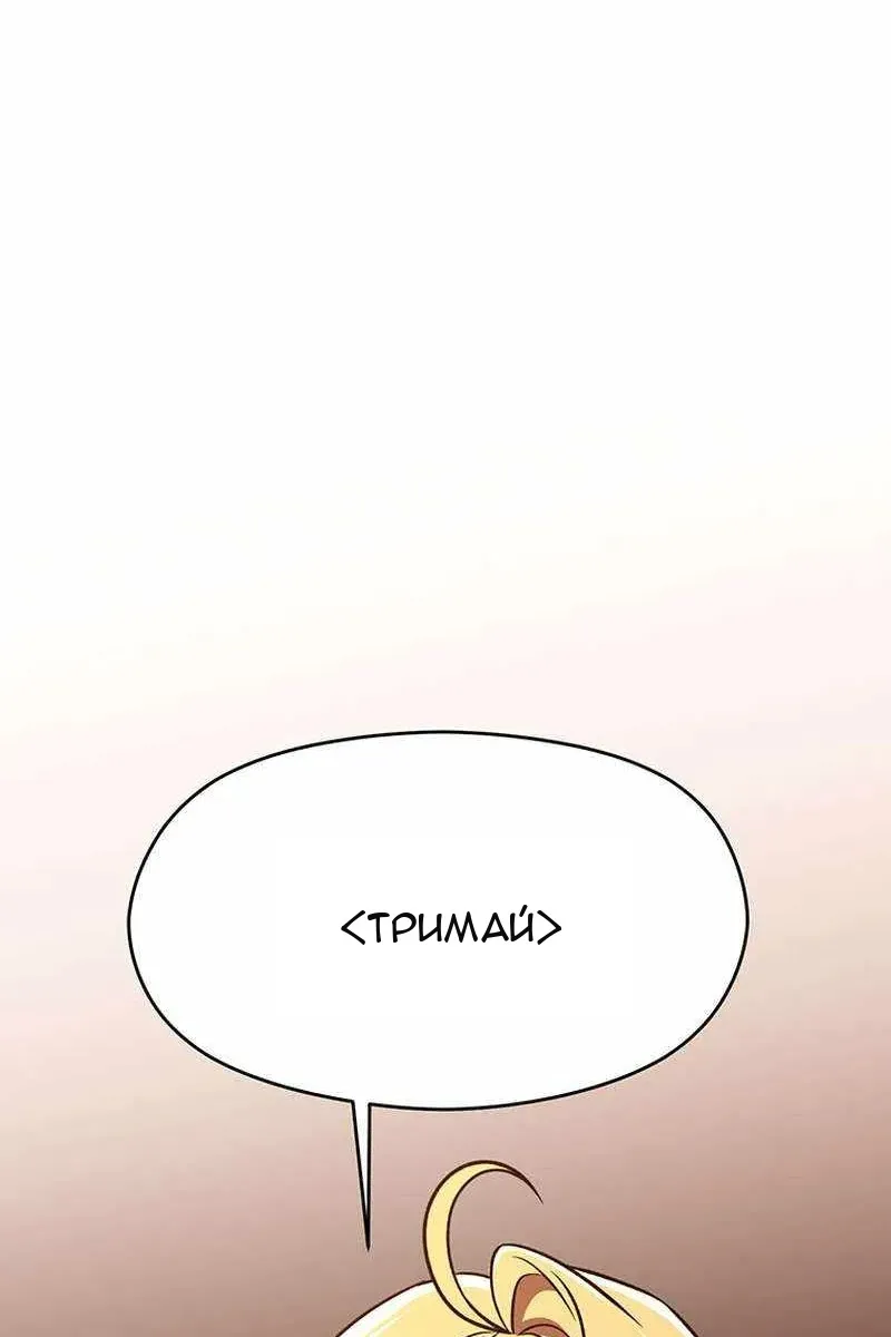 Сторінка 17