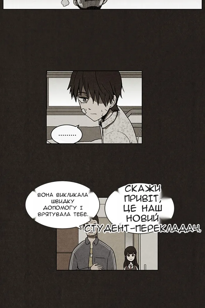 Сторінка 31
