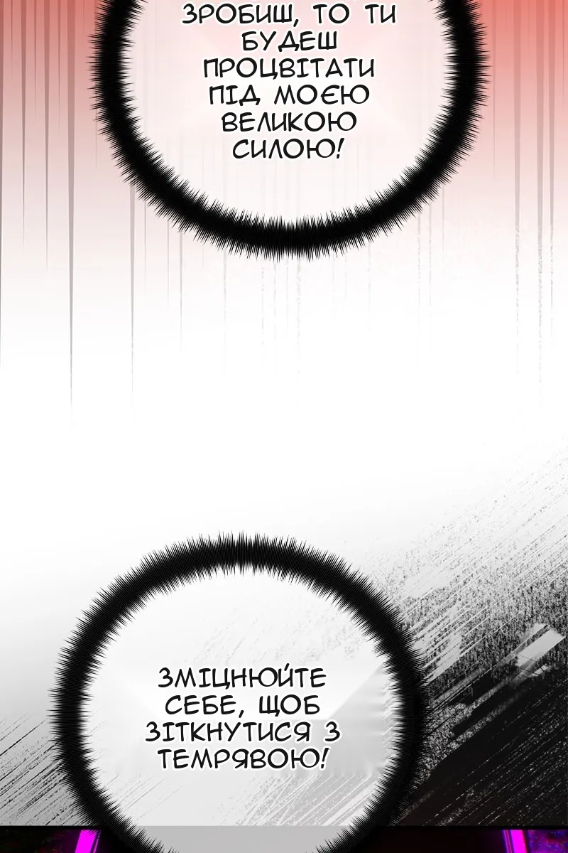 Сторінка 116