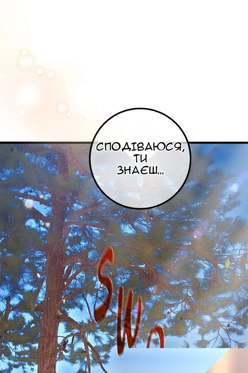 Сторінка 127