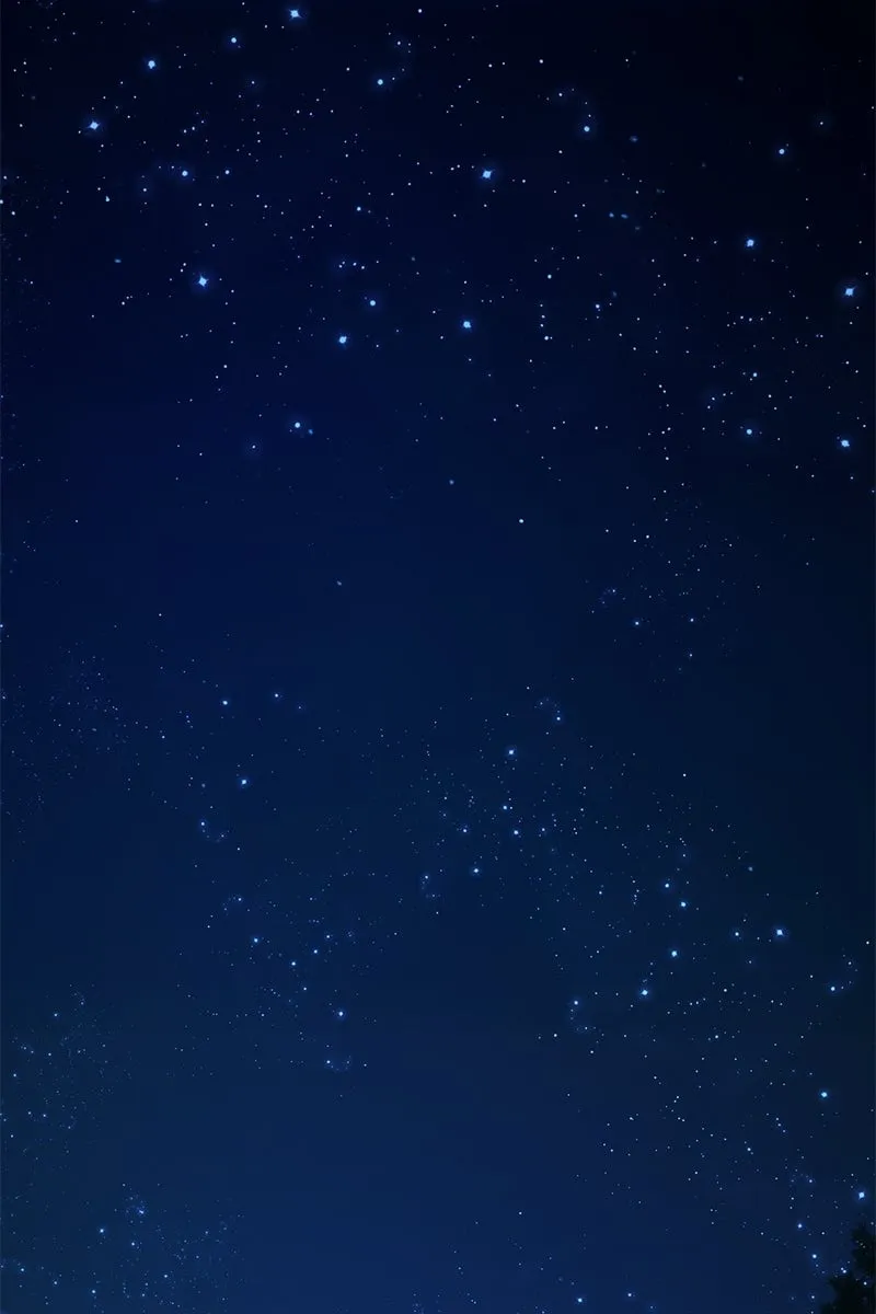 Сторінка 114