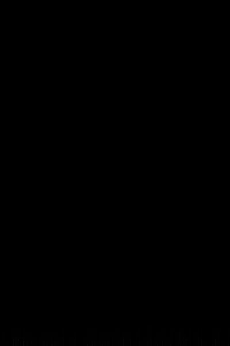 Сторінка 4