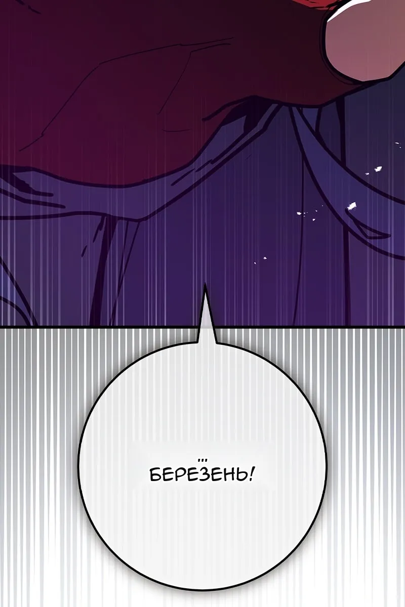Сторінка 17