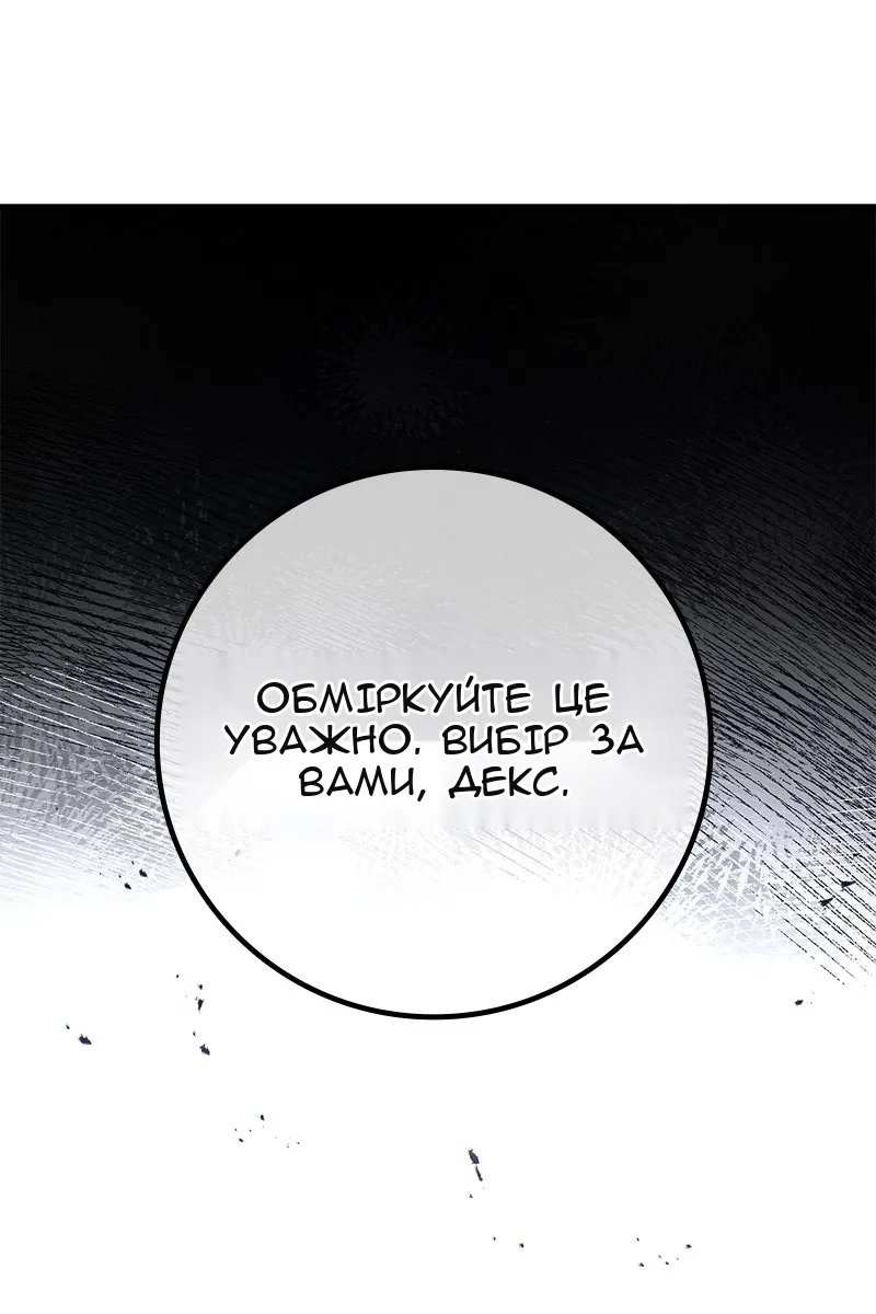 Сторінка 113