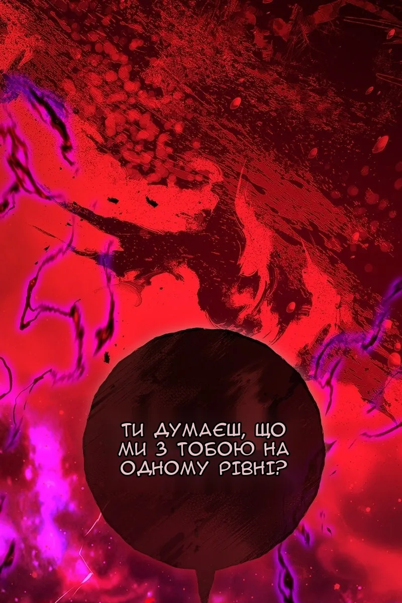Сторінка 113