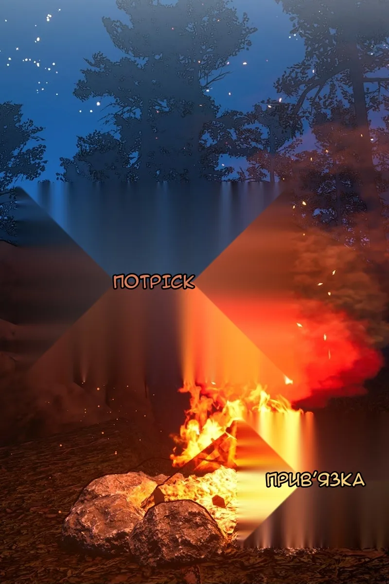 Сторінка 11