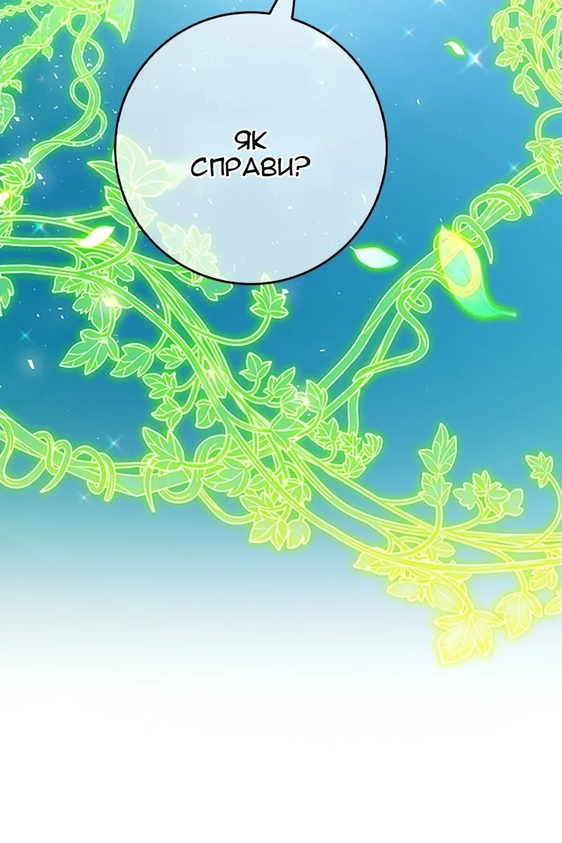 Сторінка 5