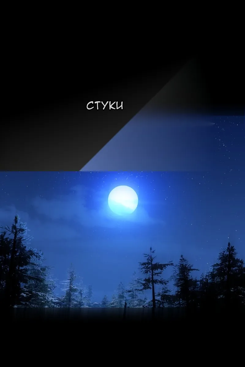 Сторінка 8
