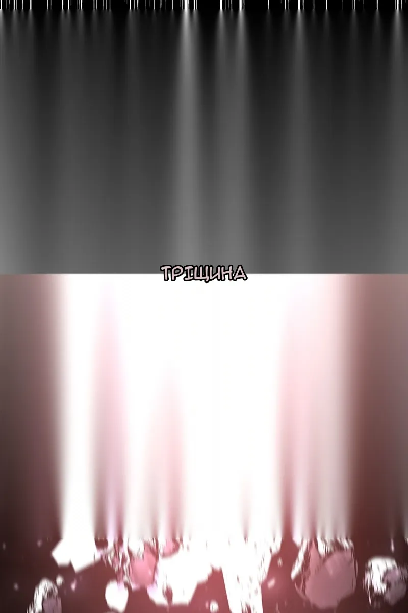 Сторінка 111